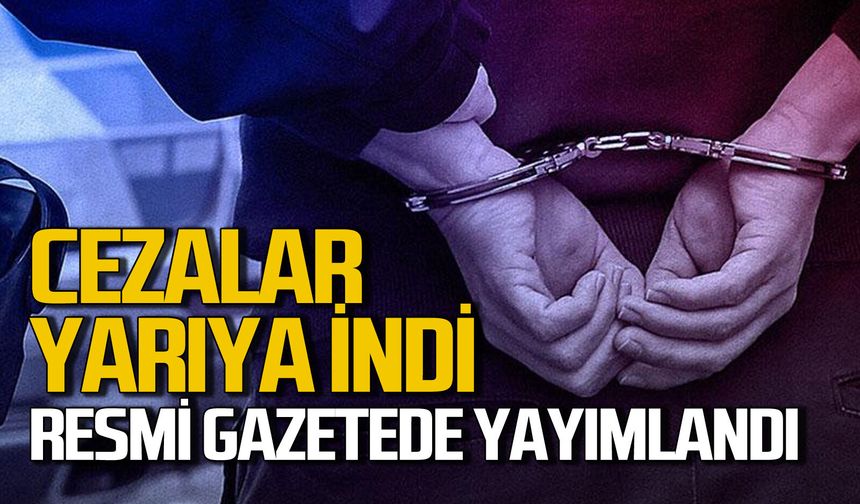 Resmi Gazete'de yayımlandı: Cezalar yarı oranında iniyor
