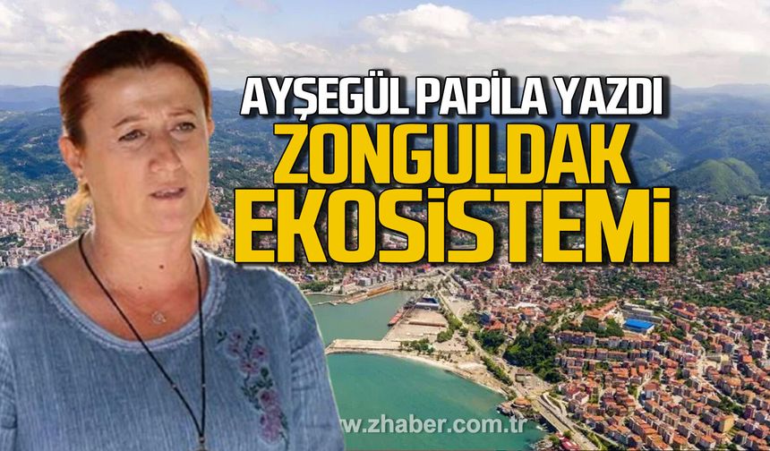 Zonguldak ekosistemi
