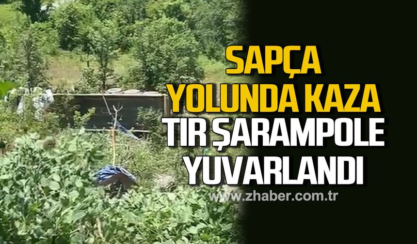 Sapça’da tır şarampole yuvarlandı: 1 yaralı