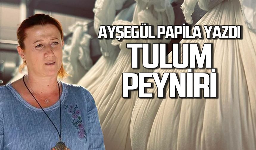 Tulum peyniri