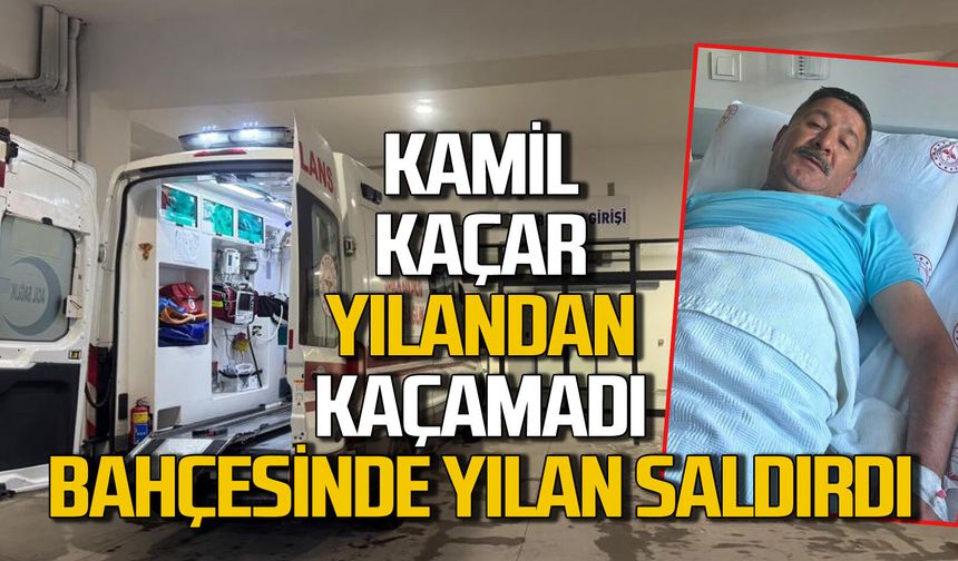 Kamil Kaçar yılandan kaçamadı: Bahçesinde yılan saldırısına uğradı