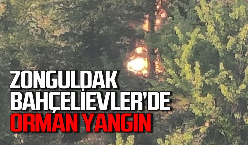 Zonguldak Bahçelievler'de çıkan yangın panik yaşattı itfaiye müdahale etti