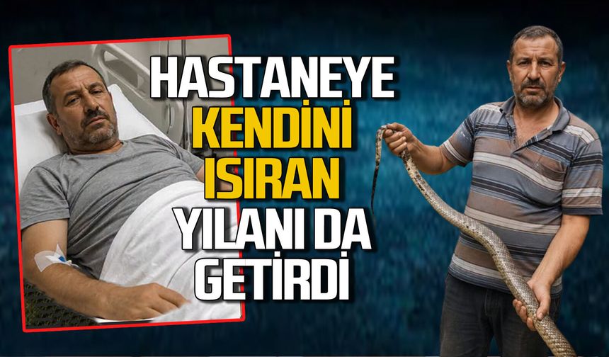 Kıvrak zeka: Kendini ısıran yılanı da yakalayıp hastaneye getirdi