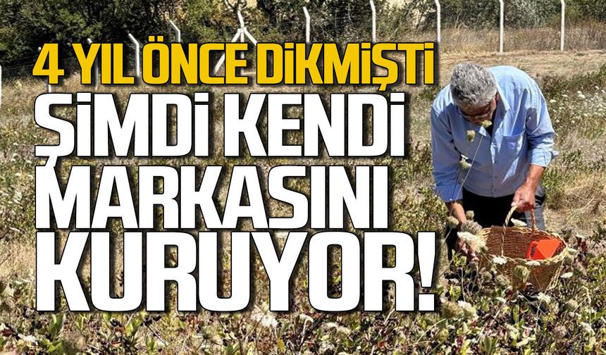 4 yıl önce dikmişti... Şimdi kendi markasını kuruyor