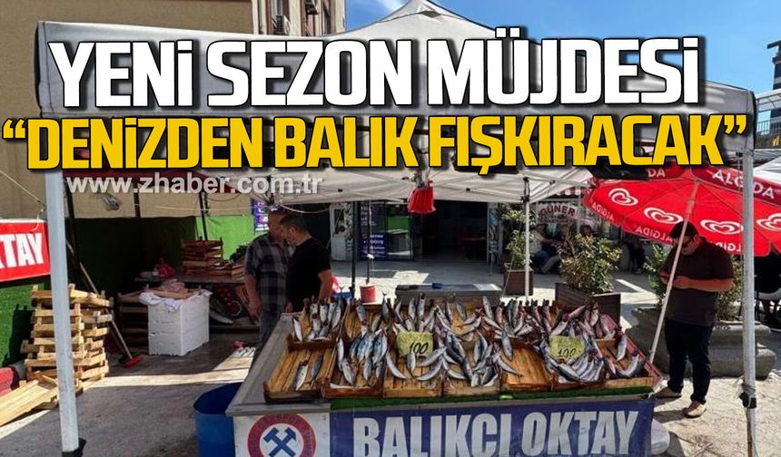 Zonguldak'ta balıkçı esnafından müjde. "Denizden balık fışkıracak"