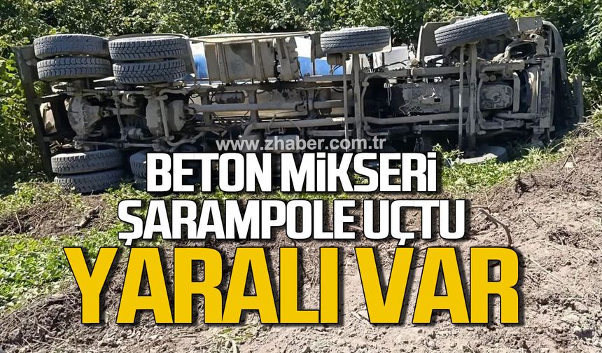 Alaplı'da şarampole uçan beton mikserinin sürücüsü yaralandı