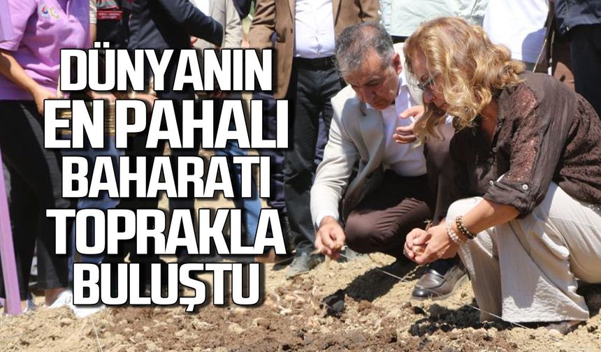 Dünyanın en pahalı bahatarı toprakla buluştu