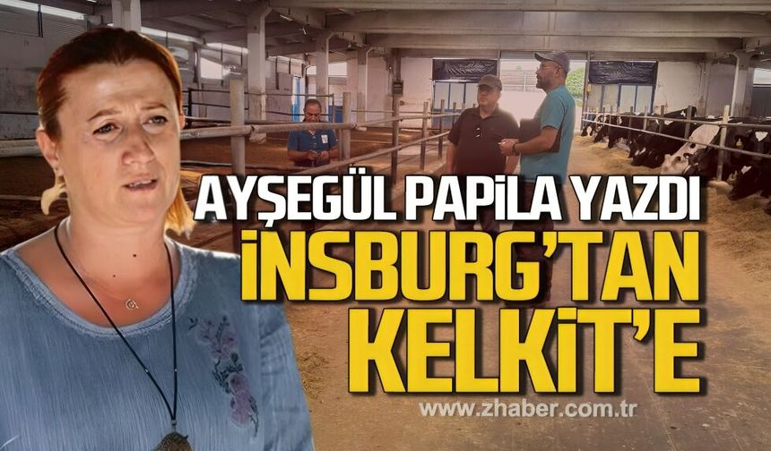 İnsburg’dan Kelkit’e