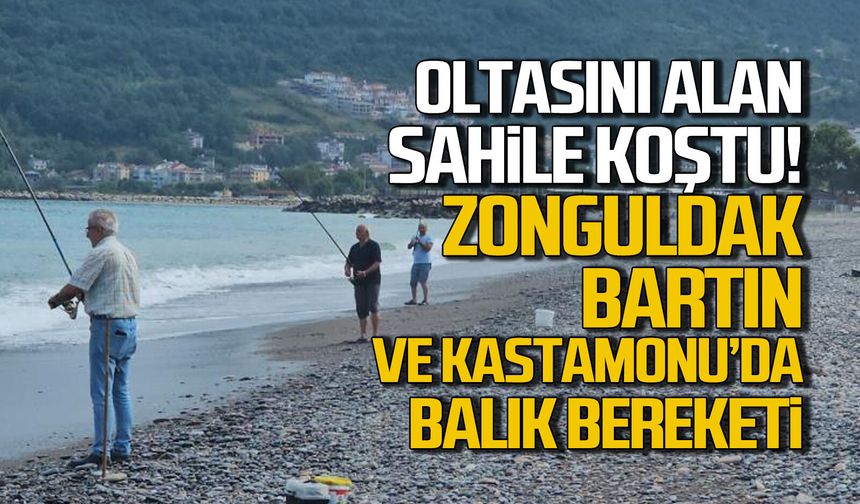 Oltasını alan sahile koştu! Zonguldak, Bartın ve Kastamonu’da balık bereketi