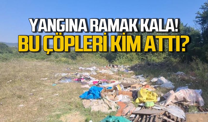 Zonguldak ormanlarında yangın tehlikesi... Çöplerin burada işi ne?