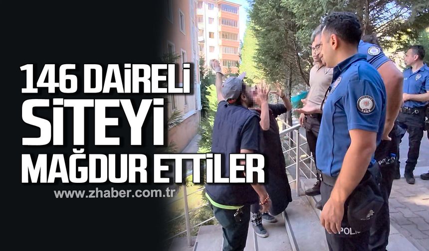 Siteyi karton yığınına çevirdiler, temizlik sırasında tepki gösterdiler