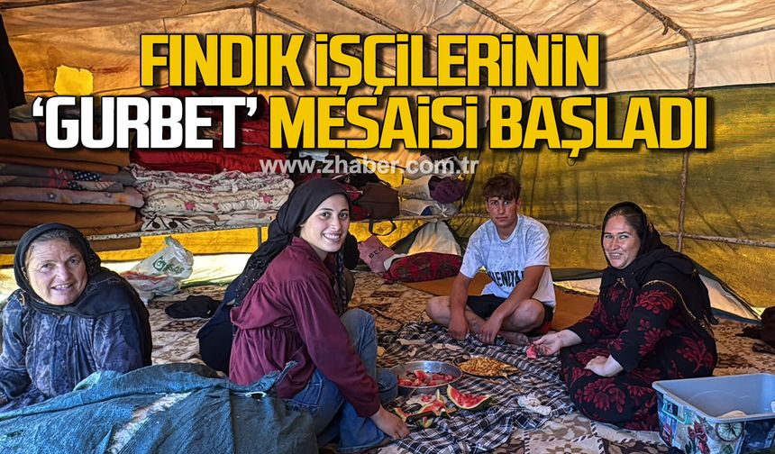 Fındık işçilerinin "Gurbet" mesaisi başladı