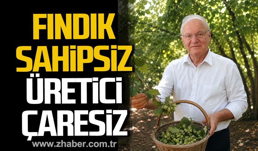 Yavuz Erkmen; "Fındık Sahipsiz, Üretici Çaresiz"