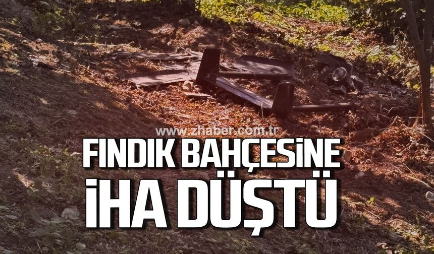 Düzce’de fındık bahçesine şüpheli bir cisim düştü