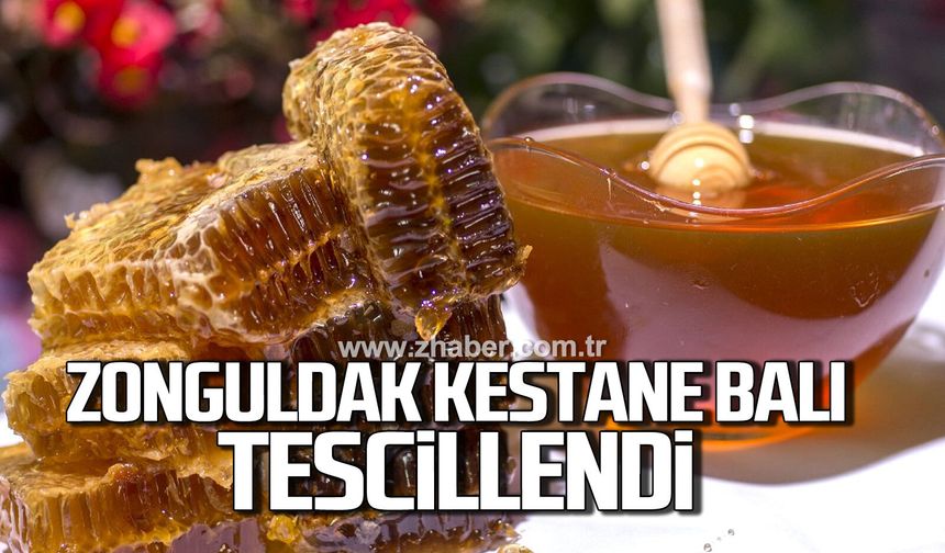 Zonguldak kestane balı coğrafi işaret aldı