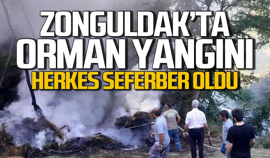 Zonguldak'ta iki ayrı noktada orman yangını