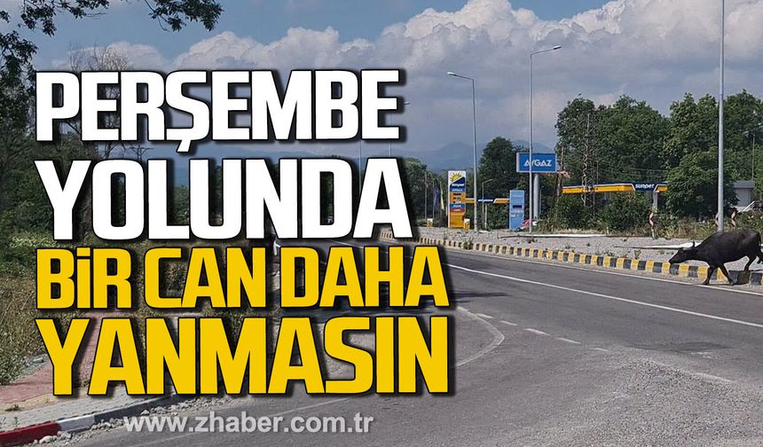 Savaş Çiloğlu'ndan çağrı. "Aynı acıların tekrar yaşanmasını istemiyoruz”