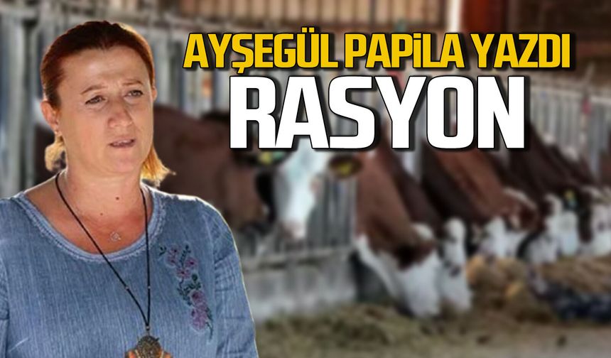 Rasyon