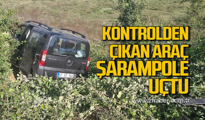 Çaycuma'da panelvan araç kontrolden çıktı, sürücü yara almadan kurtuldu
