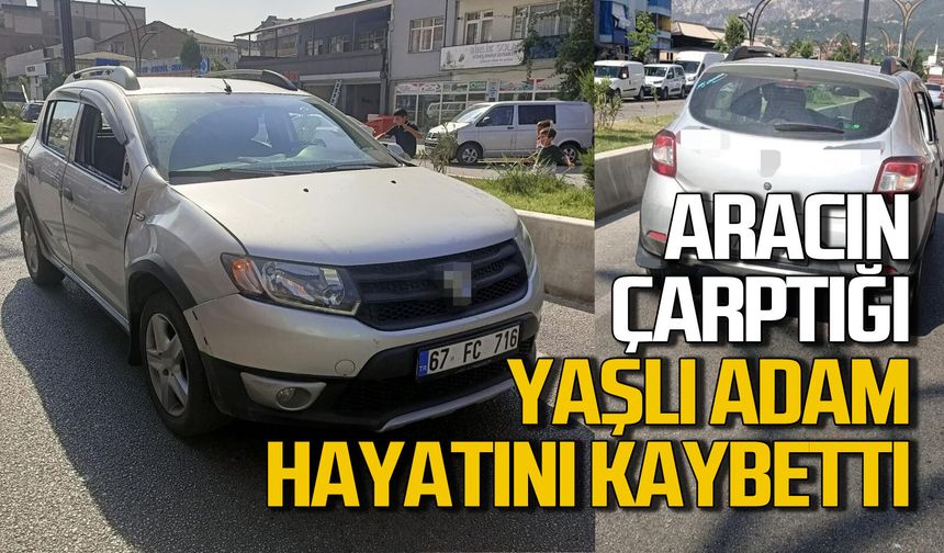 Otomobilin çarptığı yaşlı adam hayatını kaybetti
