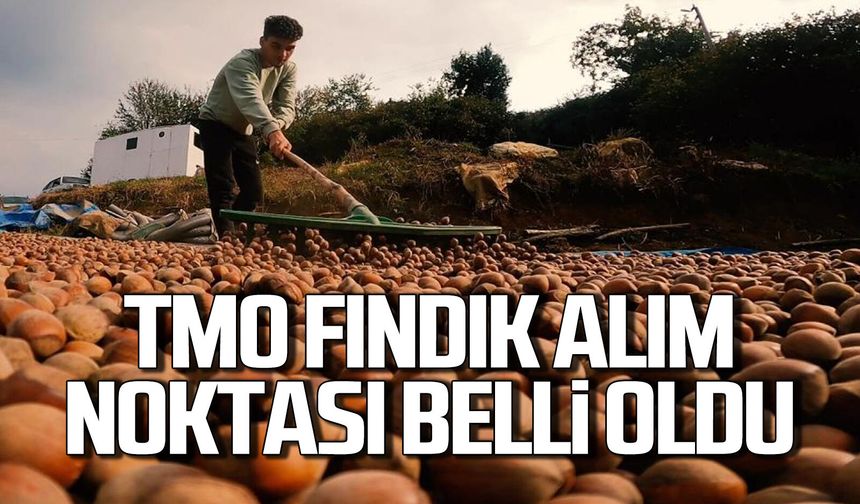 Karadeniz Ereğli’de TMO fındık alım noktası belli oldu