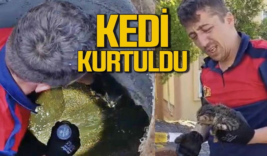 Zonguldak'ta kanalizasyon borusuna sıkışan yavru kedi kurtarıldı