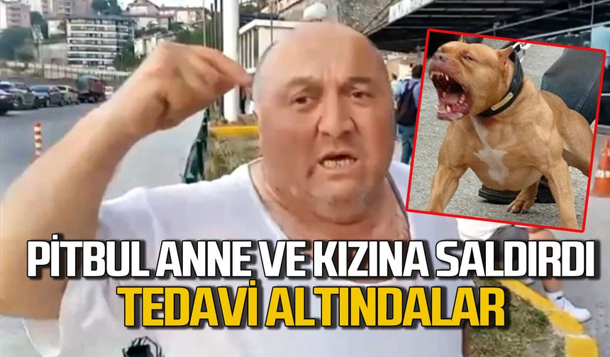 Zonguldak'ta pitbul köpek anne ve çocuğuna saldırdı: Tedavi altındalar