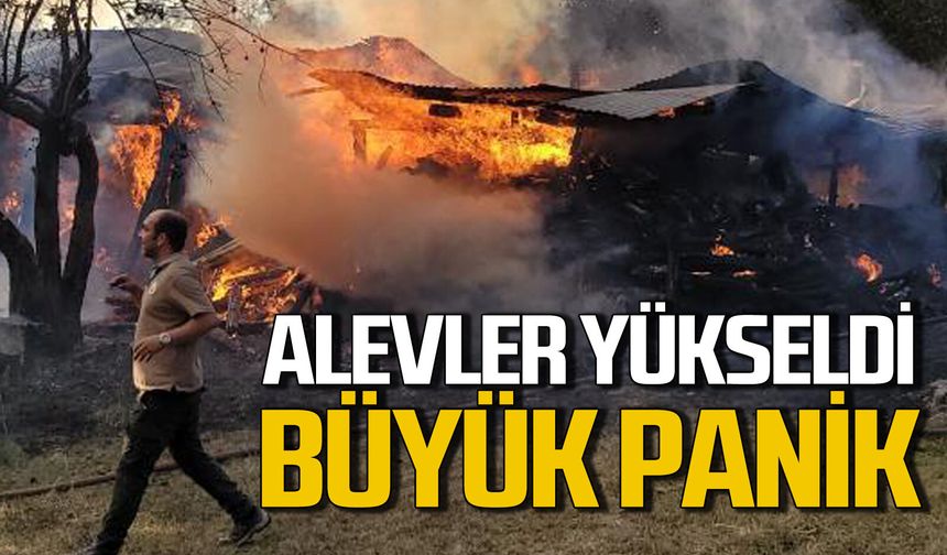 Alevler yükseldi yangın panik yaşattı