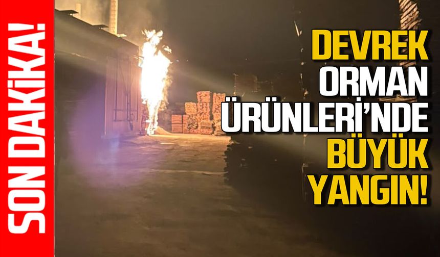 Devrek Orman Ürünleri’nde büyük yangın