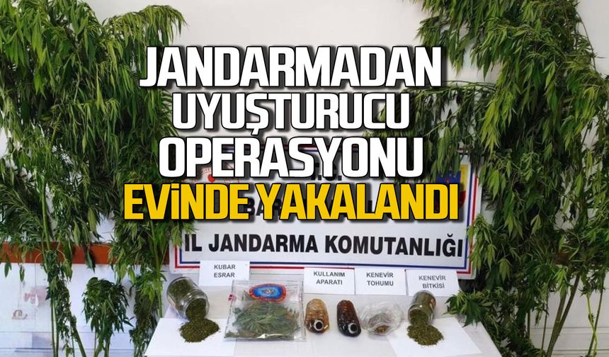 Jandarmadan uyuşturucu operasyonu evinde yakalandı