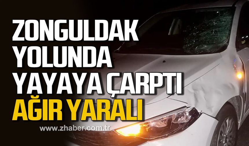 Zonguldak yolunda kaza. Ağır yaralı