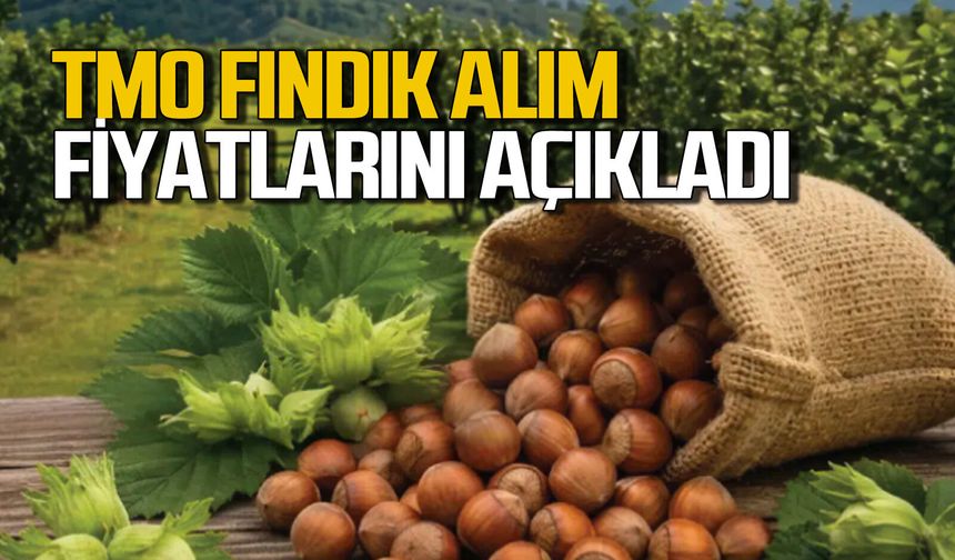TMO kabuklu fındık alım fiyatlarını açıkladı