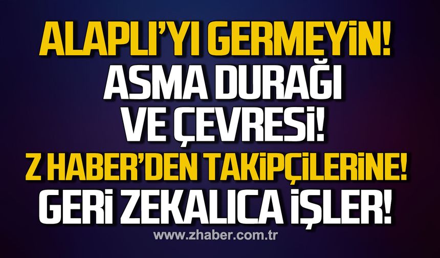 Alaplı’yı germeyin!