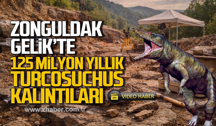 Zonguldak'ta Gelik'te 125 Milyon yıllık Turcosuchus kalıntıları