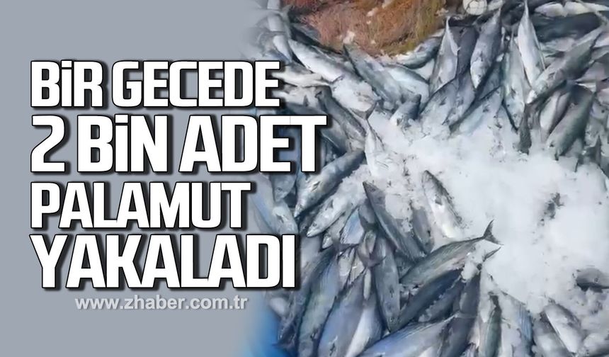 Bir gecede 2 bin adet palamut yakaladı