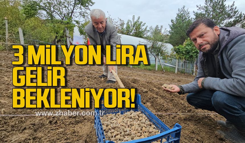 Salep üretiminde ORKÖY desteğiyle 3 milyon lira gelir bekleniyor