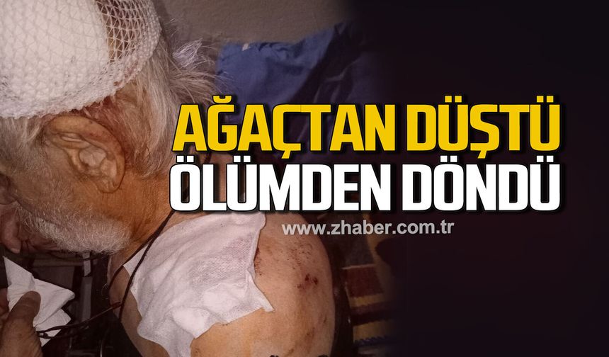 Zonguldak’ta İncir ağacından düşen Necdet Okumuş yaralandı