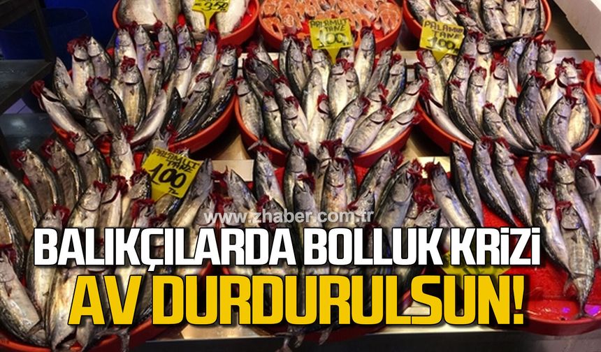 Balıkçılarda bolluk krizi! "3-4 gün av durdurulsun"