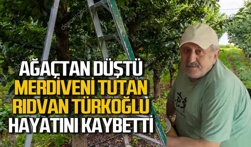 Ağaçtan düştü, merdiveni tutan kişi hayatını kaybetti