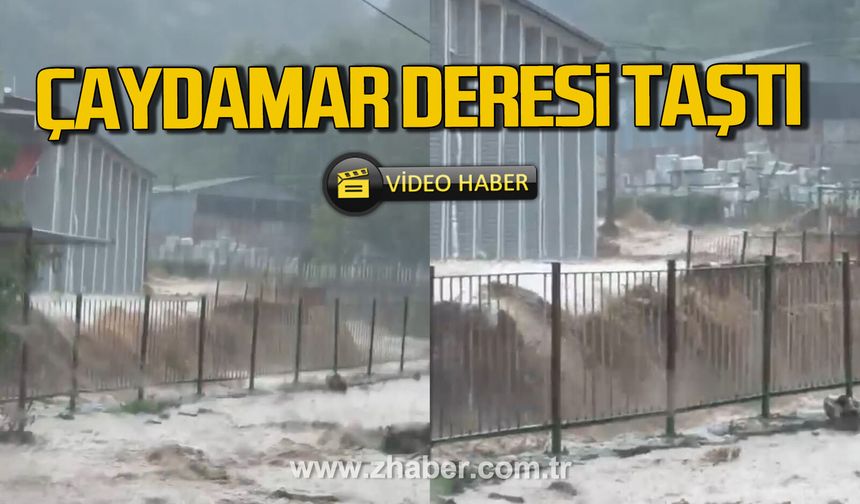 Zonguldak’ta Çaydamar deresi taştı.