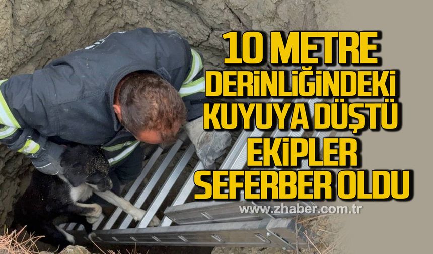 10 metre derinliğindeki kuyuya düşen köpeği itfaiye kurtardı