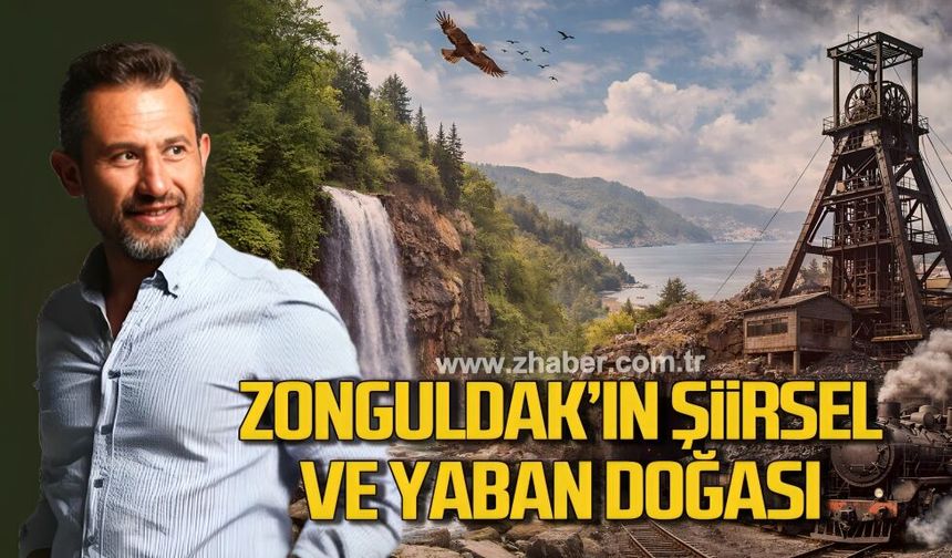 Zonguldak’ın Şiirsel ve Yaban Doğası