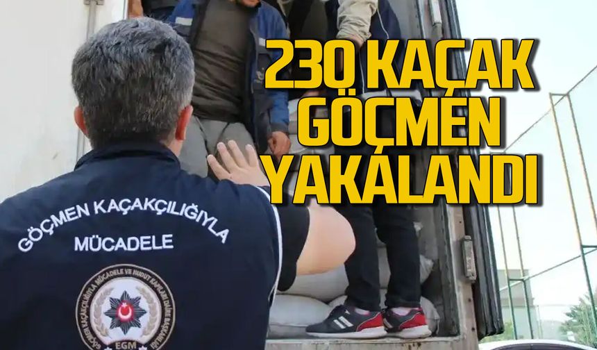 230 kaçak göçmen yakalandı