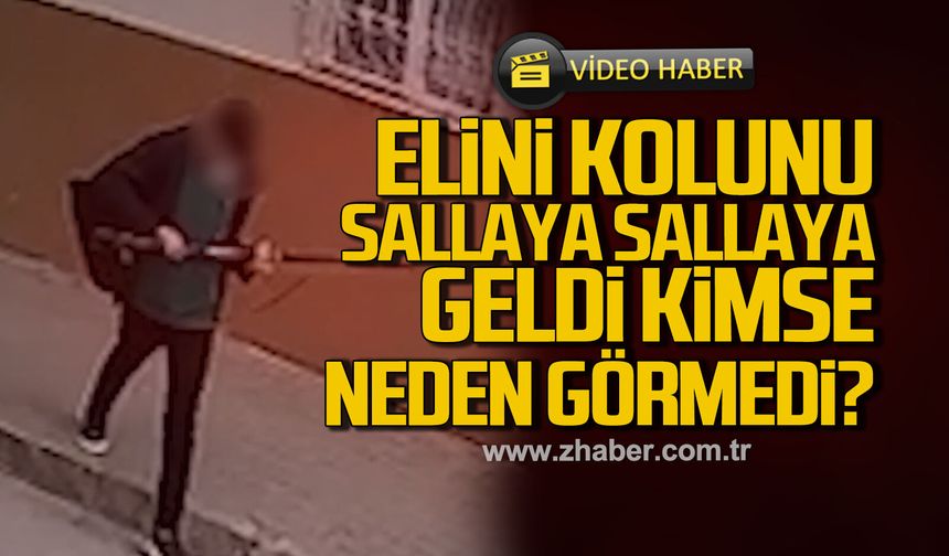 Elini kolunu sallaya sallaya geldi kimse neden görmedi?
