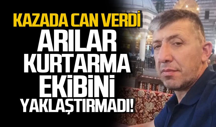 Kazada can verdi... Arılar kurtarma ekibini yaklaştırmadı