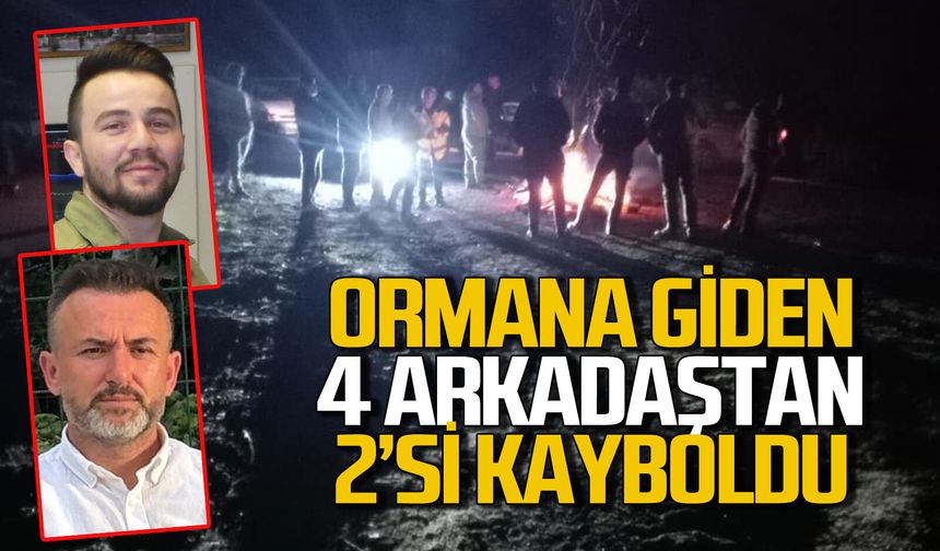 Ormana giden 4 arkadaştan 2'si kayboldu