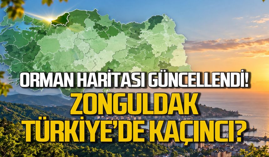 Orman haritası güncellendi... Zonguldak ilk 10'da