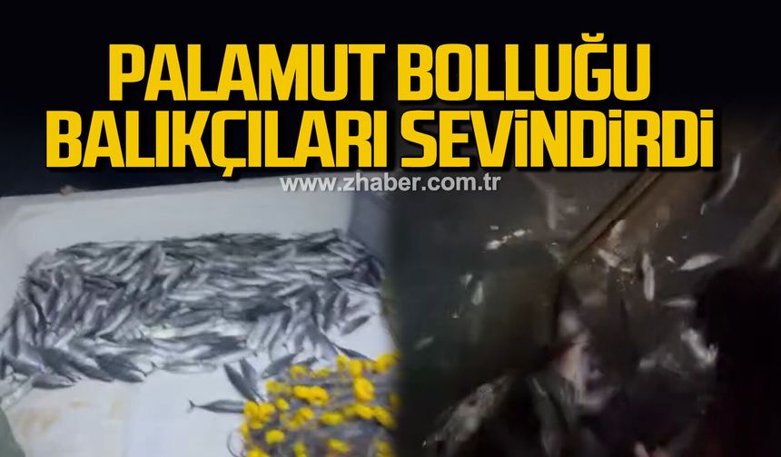 Palamut bolluğu balıkçıları sevindirdi