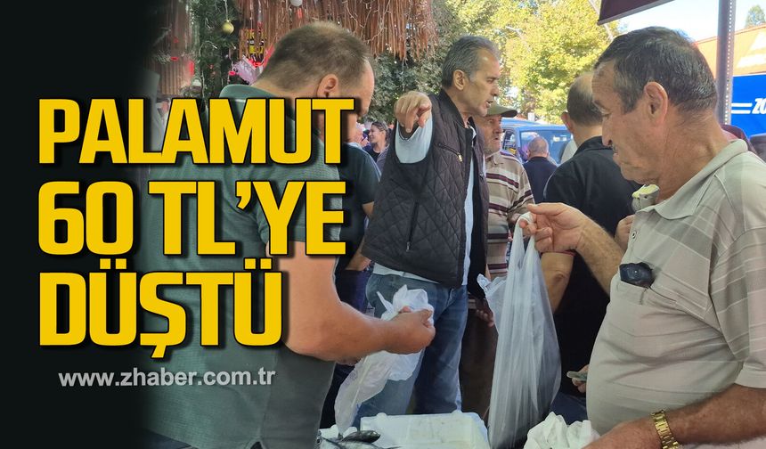 Bartın'da palamutun tanesi 60 TL'ye düştü