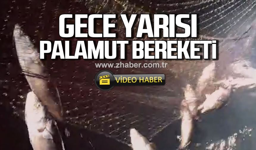 Zonguldak'ta gece yarısı palamut bereketi